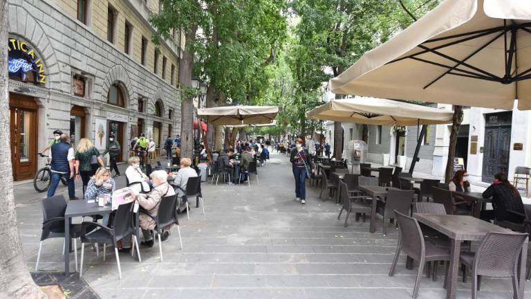 Akvedot ali Drevored 20. septembra: literarno-zgodovinski vodnik