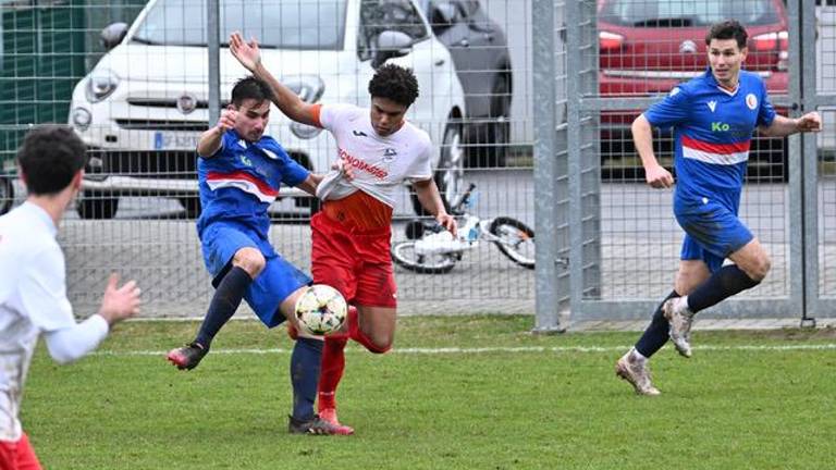 Kras iz Tržiča brez točke