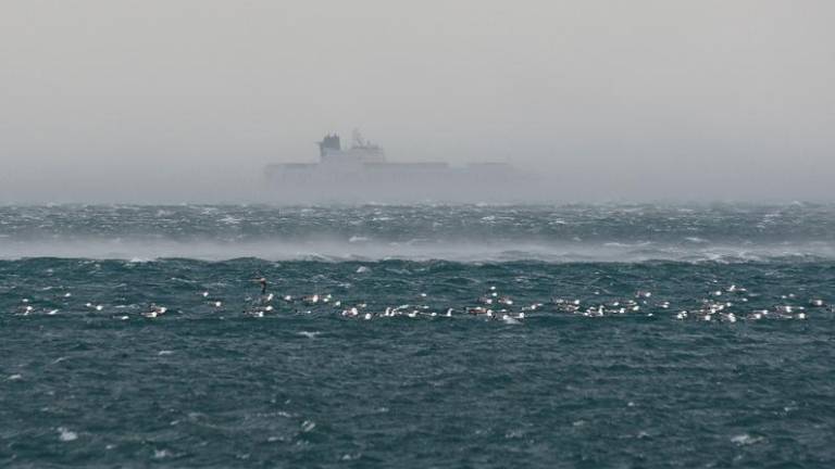 Trst je prečesala močna burja