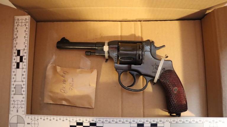 Ovadili 58-letnika iz Parecaga, ki je na silvestrovo z revolverjem zadel sovaščanko