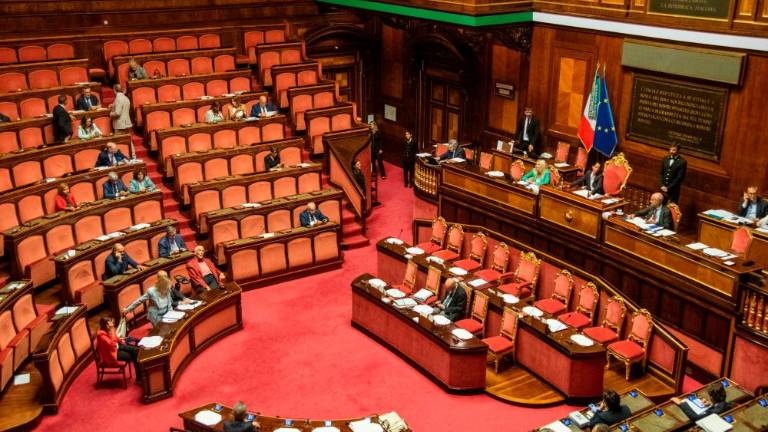 Senat soglasno sprejel predlog zakona o femicidu