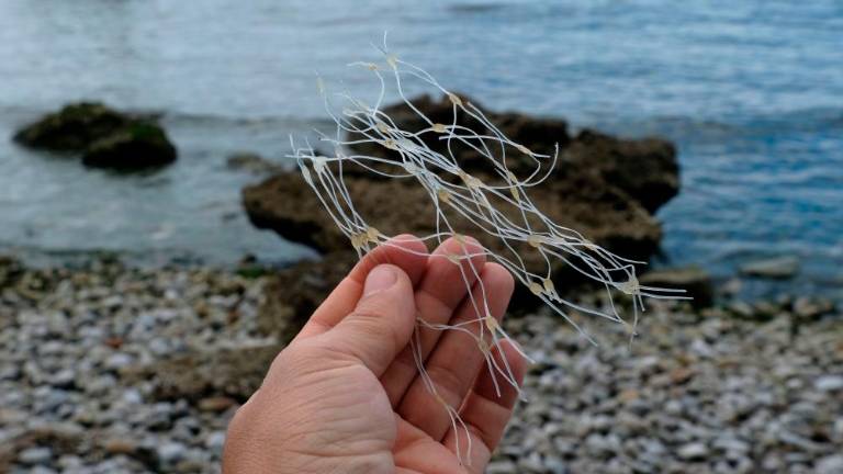 Pri čupah odstranili predvsem plastiko (foto)