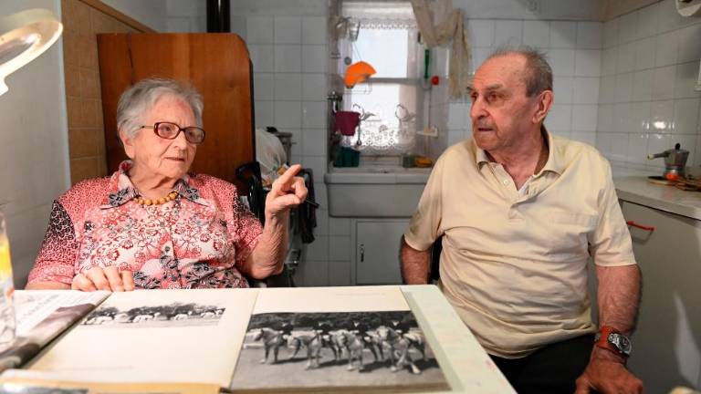 Z lipicanci je nastopil v Disneyjevem filmu