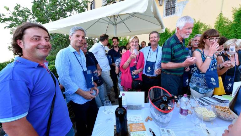 Morje in vitovsko tokrat zaznamujejo vinogradnice (foto)