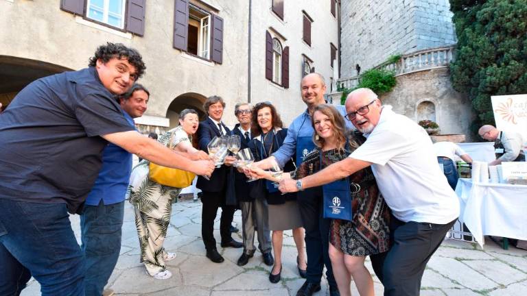 Morje in vitovsko tokrat zaznamujejo vinogradnice (foto)