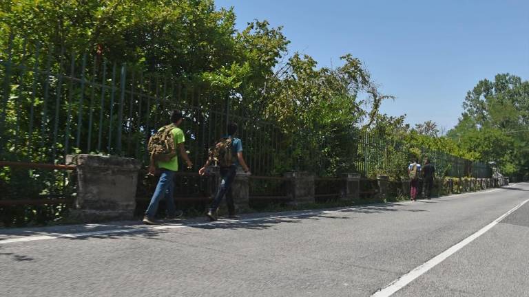 Policisti prestregli 81 migrantov