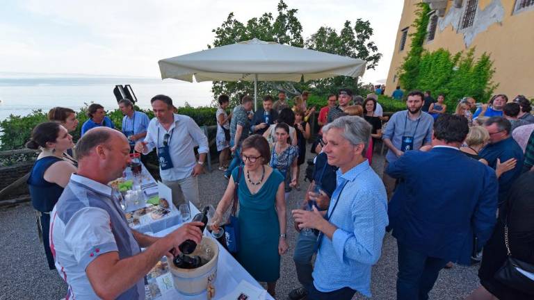 Morje in vitovsko tokrat zaznamujejo vinogradnice (foto)