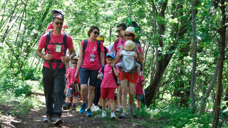 Pohod Kohišče odpade