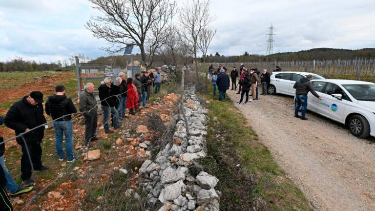 Slovenščina tudi tokrat preprečila vstop v vinograde na Rujah