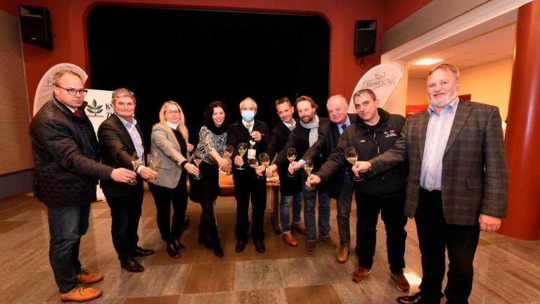 Pokušnja prosekarjev ob sv. Martinu