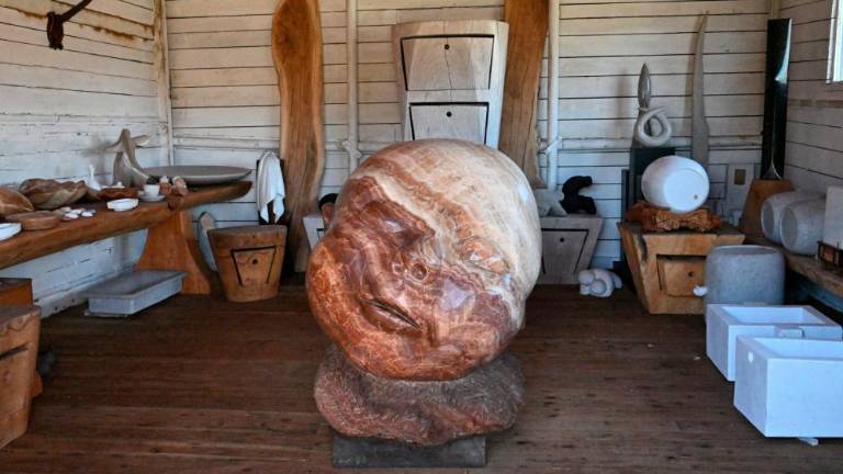 Obisk pri Robinu Soaveju