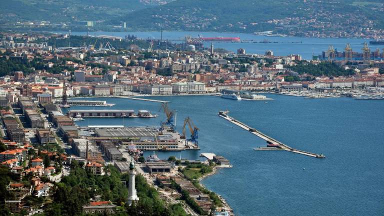 »Številčno smo se vrnili na začetek 20. stoletja«