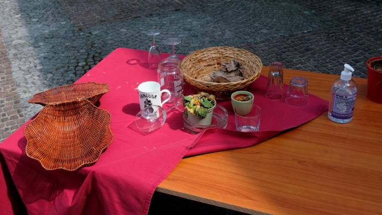 Protestni NEdogodek v Sežani