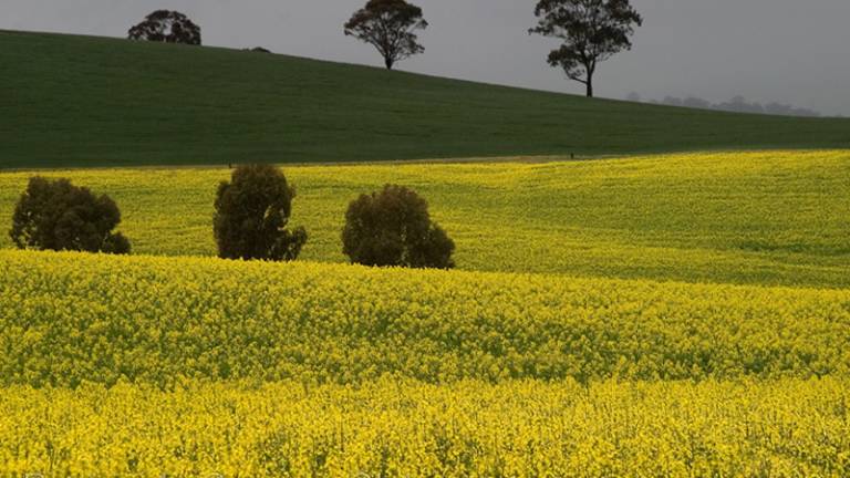Samoten vladar pokrajine