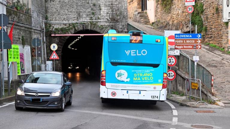 V primeru širitve miljskega predora opozarjajo na težave v prometu