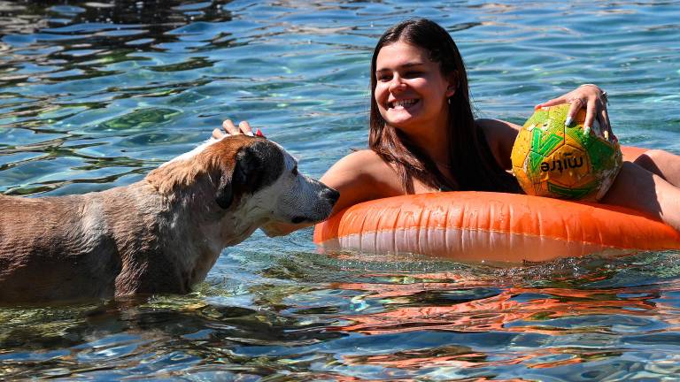 Štirinožni prijatelji imajo svojo plažo