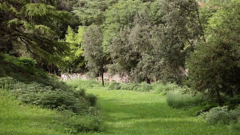 Skoraj dva milijona evrov za naložbo v park