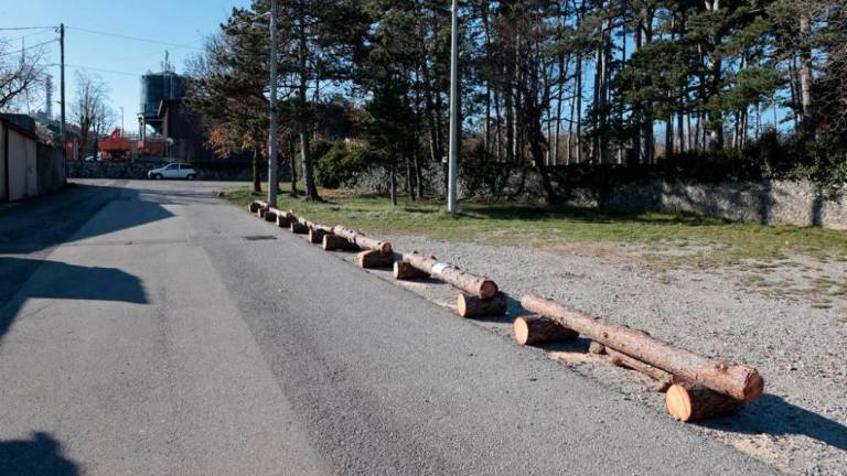 »Vojna debel« v Bazovici in pri Banih