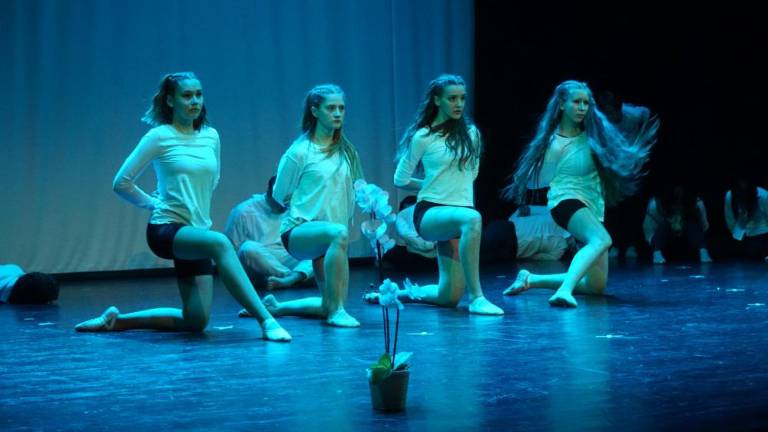 Norost, takšna in drugačna