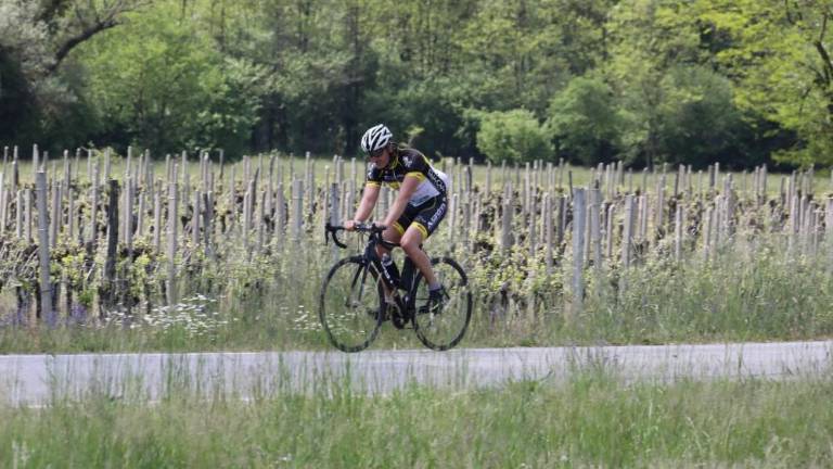 V Krminu in okolici za 36 odstotkov več turistov