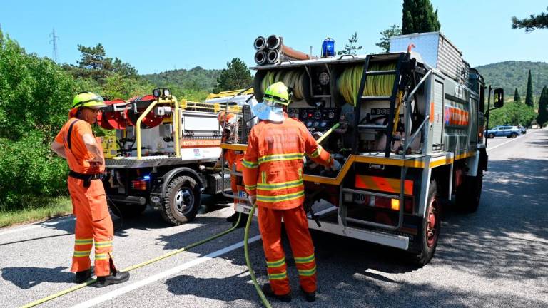 Požar pri Štivanu na cesti skozi Dol pogasili (VIDEO)