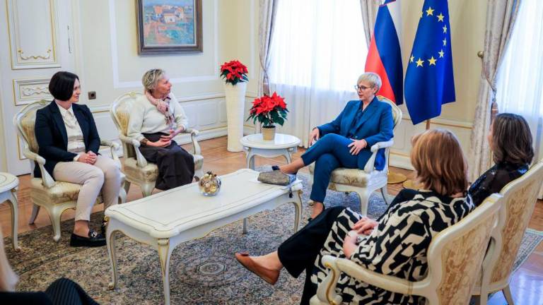 Priznanje predsednice za delo na področju človekovih pravic letos aktivistom Anhovega