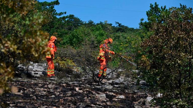 Požar pri Štivanu na cesti skozi Dol pogasili (VIDEO)