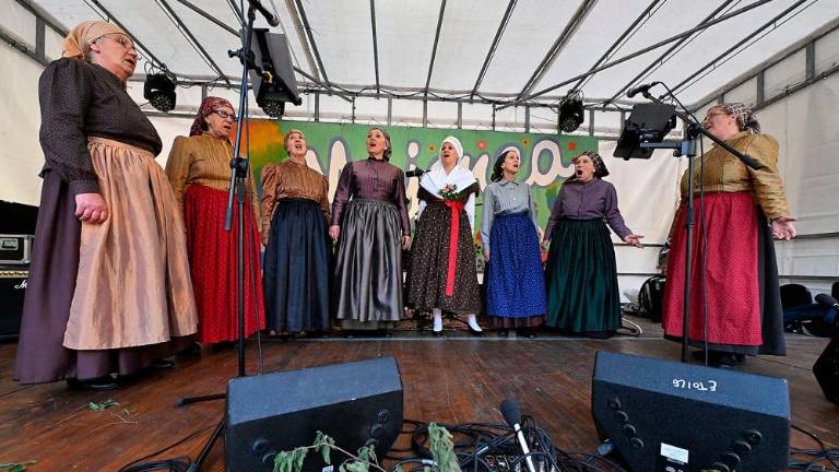 Veselo razpoloženje na Majenci