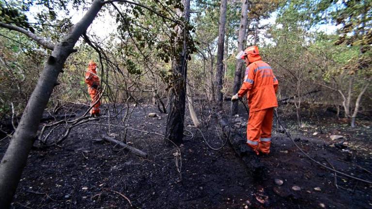 Požar na šohtu pogasili, požarišče bonificirajo (foto)