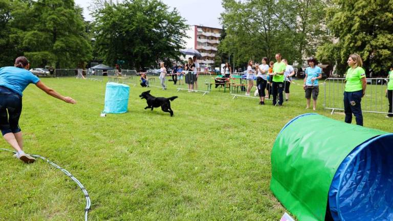 Raj za ljubitelje živali