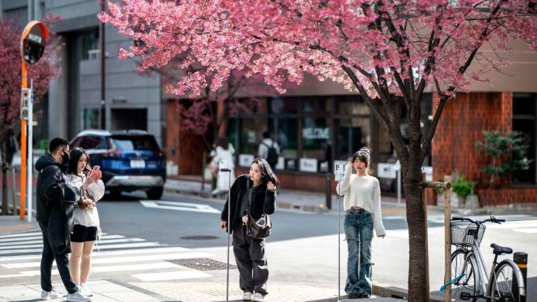 Na Japonskem zacvetele češnje