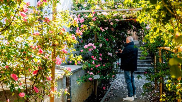 Festival vrtnic bo potekal do 17. maja (MESTNA OBČINA NOVA GORICA)