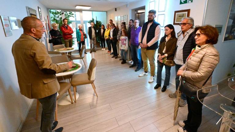 Šestdeset let brezkofeinske kave