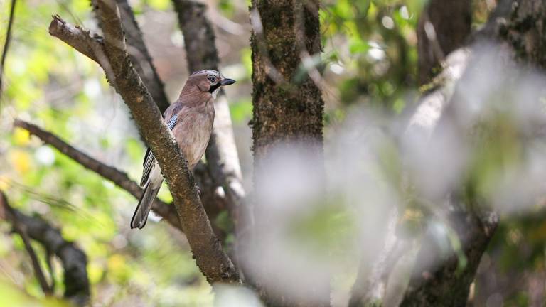 V osrčju prenovljenega parka središče za kulturno eksperimentiranje