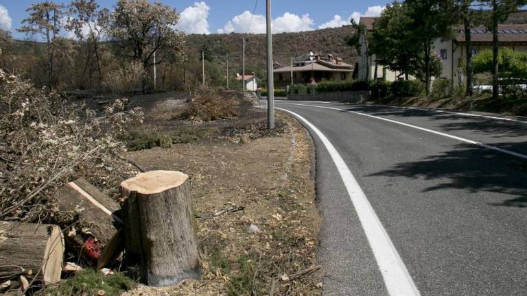 V petek ponovno odprejo cesto skozi Dol in Jamlje