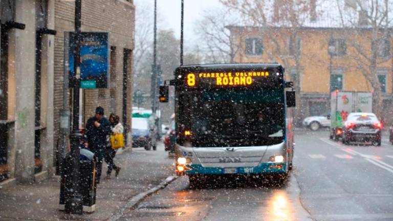 Sneži tudi ob morju