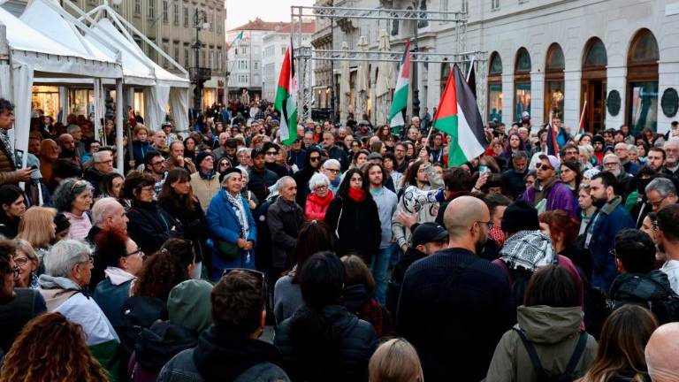 Množična udeležba na popoldanskem shodu za Palestino (VIDEO)