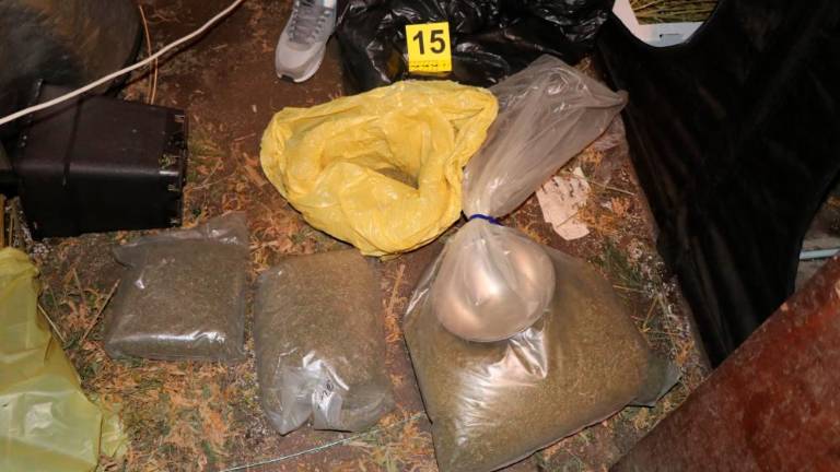Koprski policisti zasegli več kot 8,5 kilograma konoplje