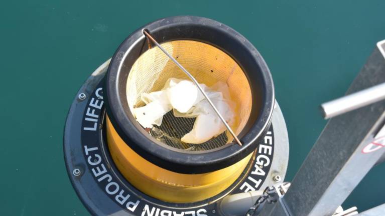 Morski smetnjak v enem letu zbral 128 kilogramov odpadkov