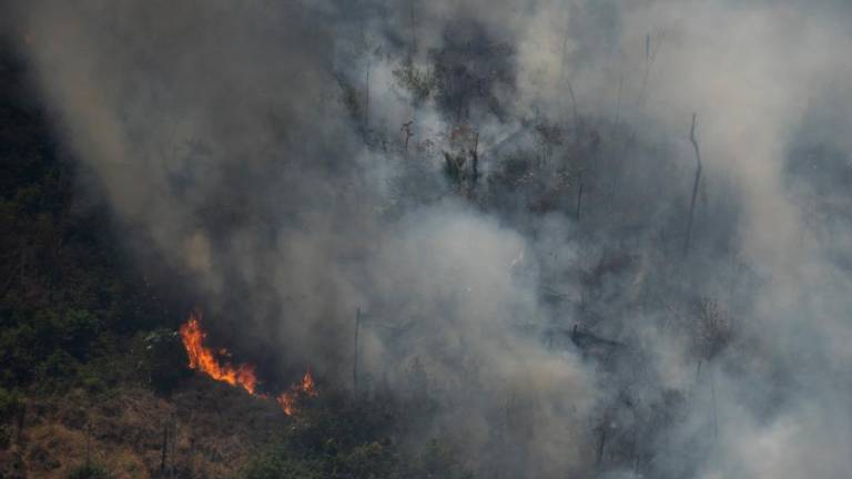 Z vojsko v boj proti požarom v amazonskem pragozdu (foto)