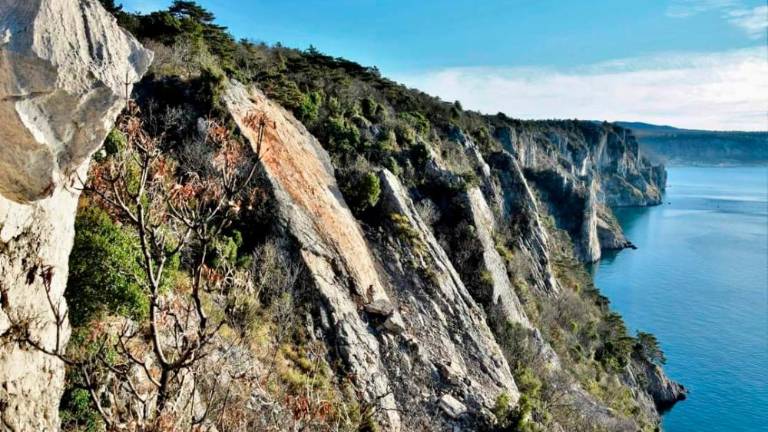 S stene zgrmela 20-metrska plošča