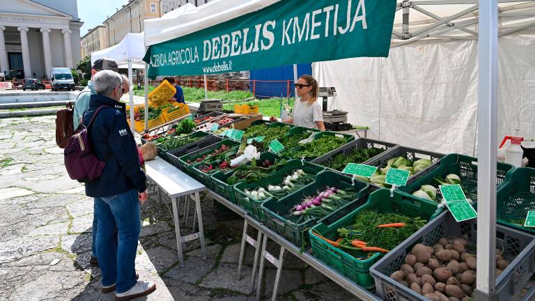 Branjevke in branjevci na Trgu sv. Antona ujeti v sredino prenove