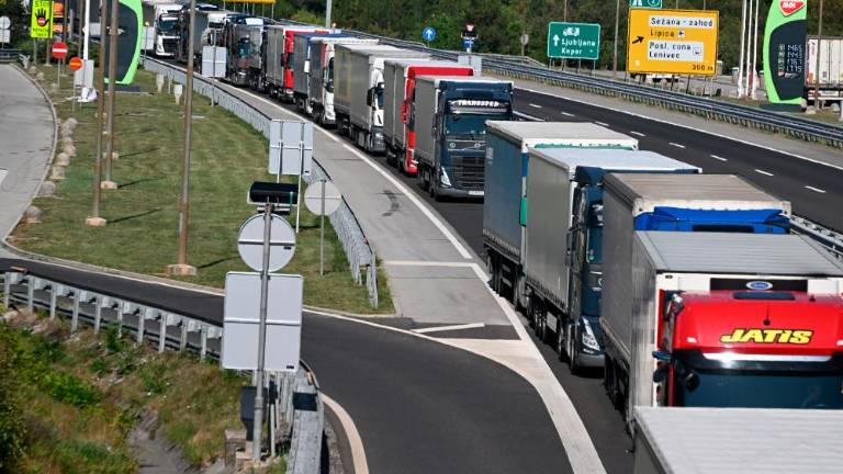 Minister Poklukar zaradi gneče pri Fernetičih Italijo pozval k ukrepanju