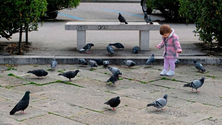 Sonce privabilo na ulice kolesarje in tekače