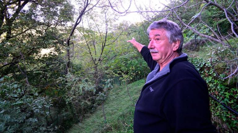 Cvetje, jagode in domači pridelki na trasi predvidene žičnice