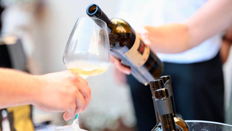Vitovska po zaslugi vinogradnikov vse bolj prepoznavna
