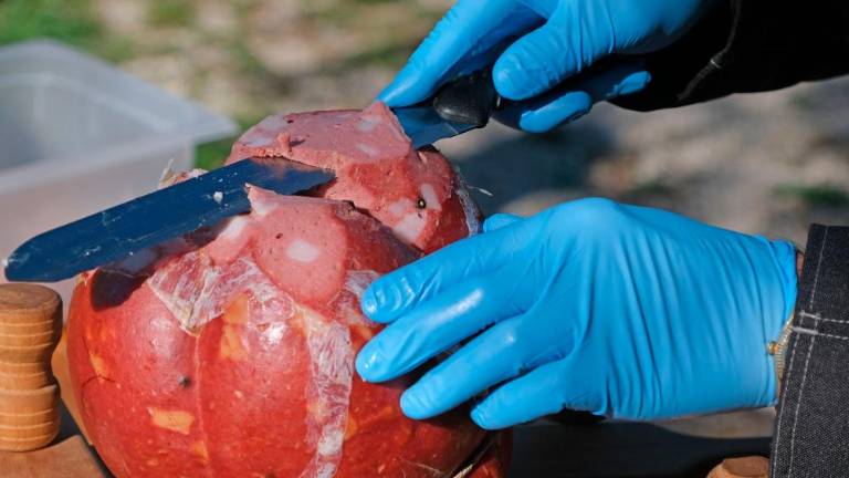 Jesenski pohod na Kohišče