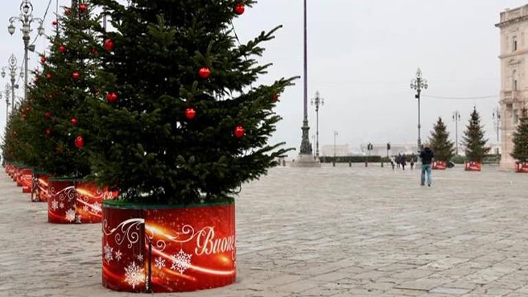 Sneg pobelil Kraško planoto, sneži tudi v Trstu (foto in video)