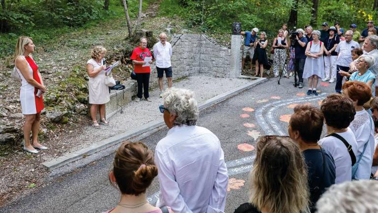 Lanski sprehod po Pesniški poti (LUCA TEDESCHI/FOTODAMJ@N)