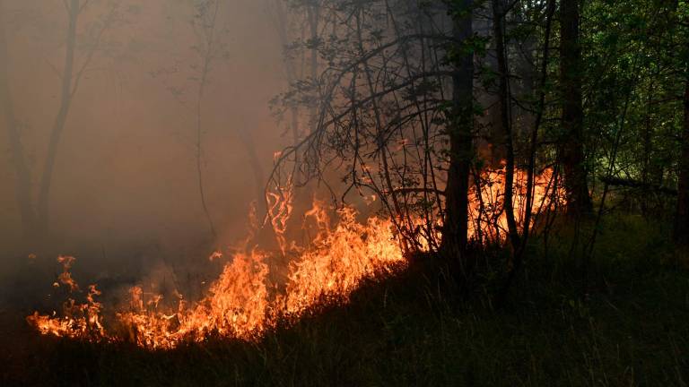 Pri Padričah spet močno gori, območje preletavajo trije helikopterji